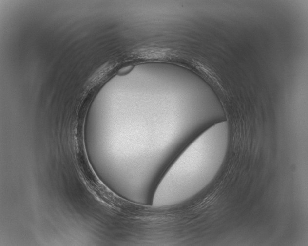 X0000052550682200507010845