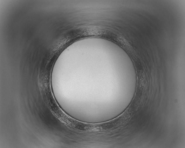 X0000052550683200507010845