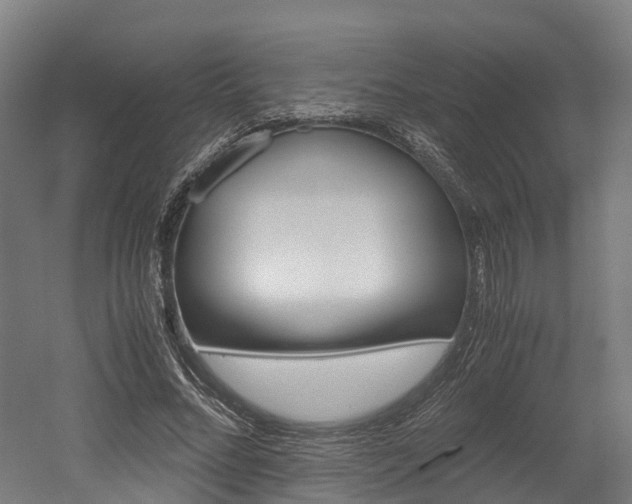 X0000052550684200507010845