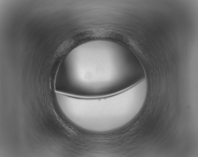 X0000052550685200507010845