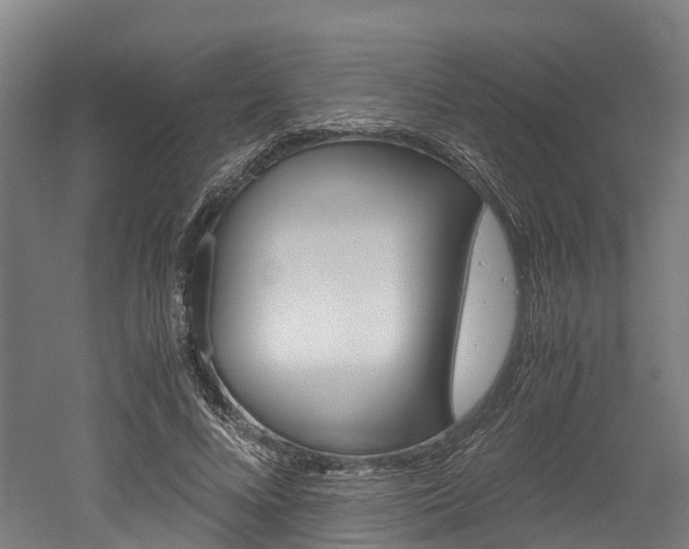 X0000052550688200507010845