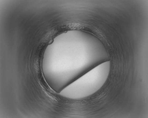 X0000052550690200507010845