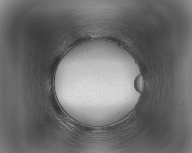 X0000052550691200507010845
