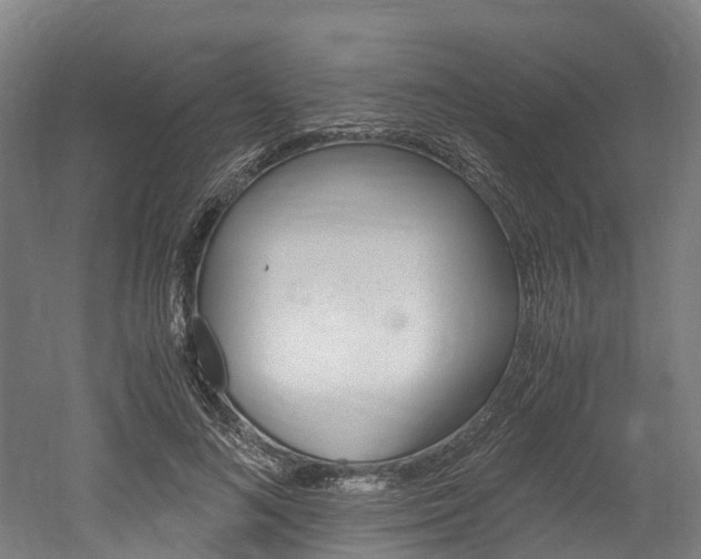 X0000052550692200507010845