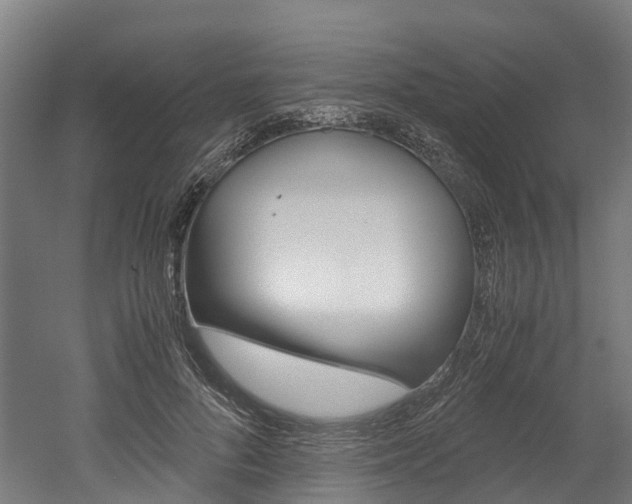 X0000052550696200507010845