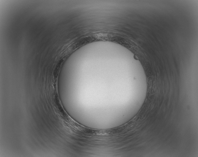 X0000052550702200507010845
