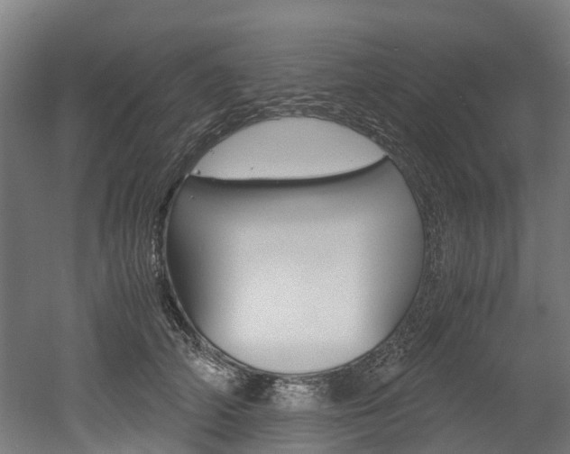 X0000052550706200507010845