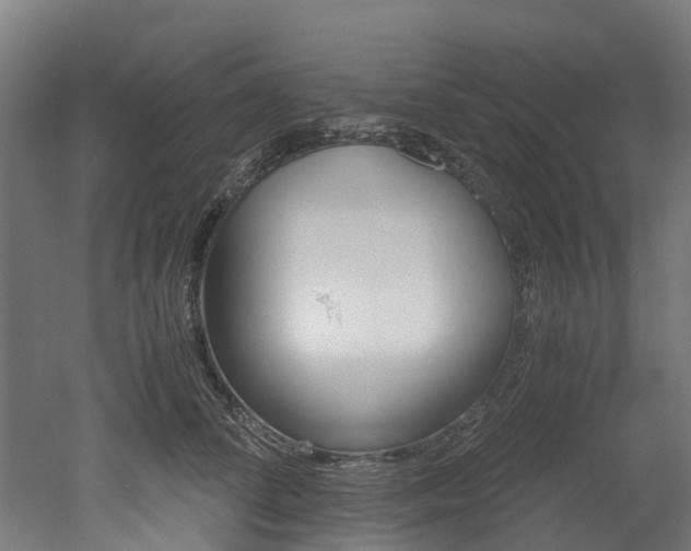 X0000052550708200507010845