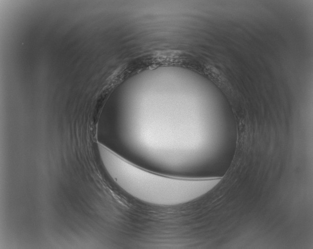 X0000052550712200507010845