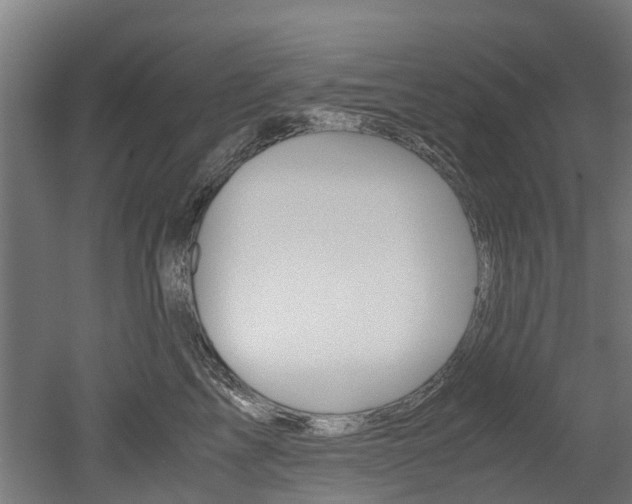 X0000052550713200507010845