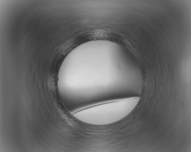 X0000052550715200507010845