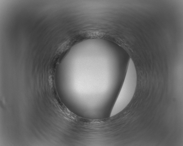 X0000052550716200507010845
