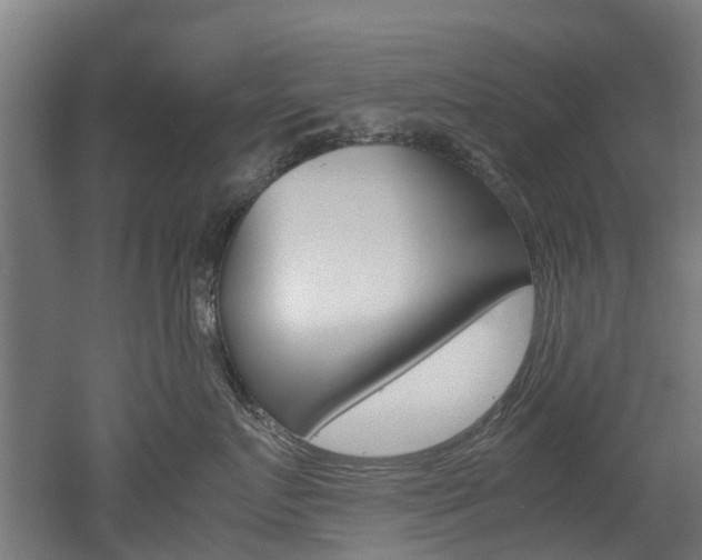 X0000052550719200507010845