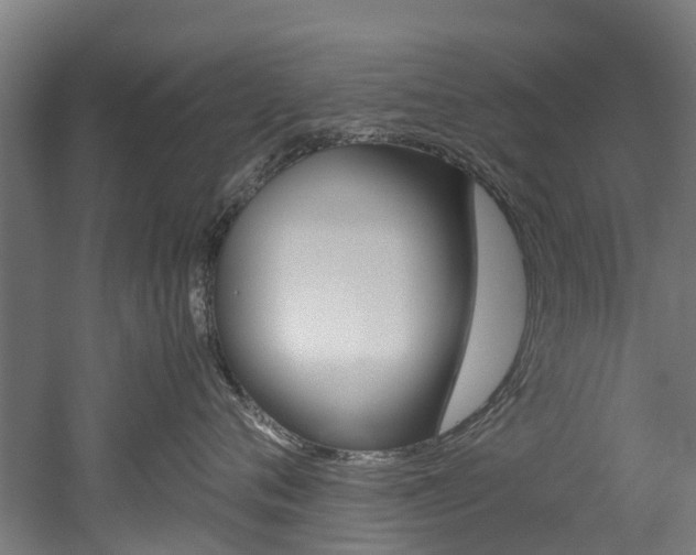 X0000052550720200507010845