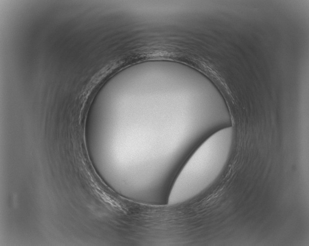 X0000052550721200507010844