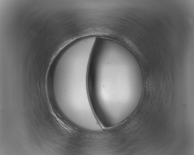 X0000052550722200507010844