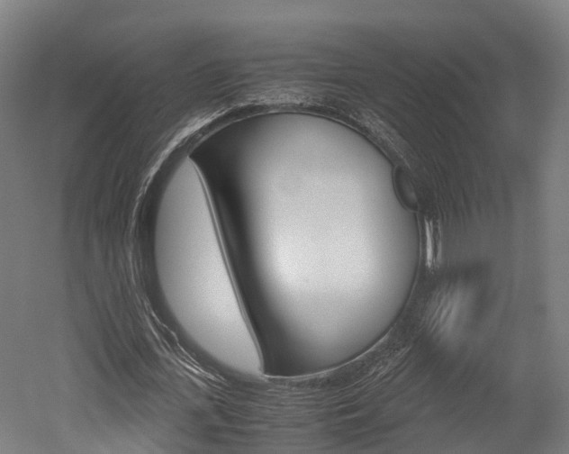 X0000052550723200507010844