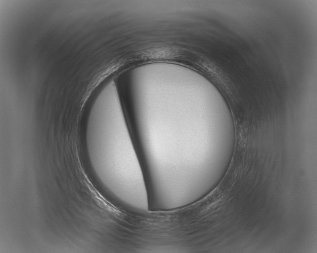X0000052550725200507010844