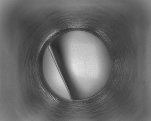 X0000052550727200507010844