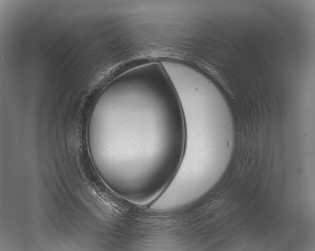 X0000052550732200507010844