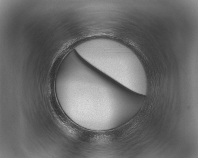 X0000052550734200507010844