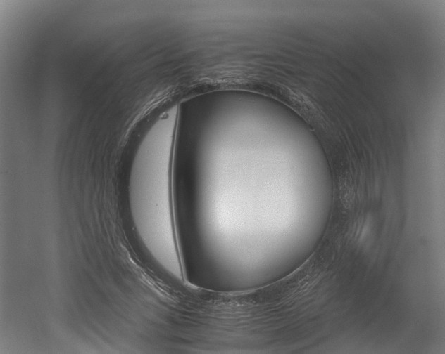 X0000052550735200507010844