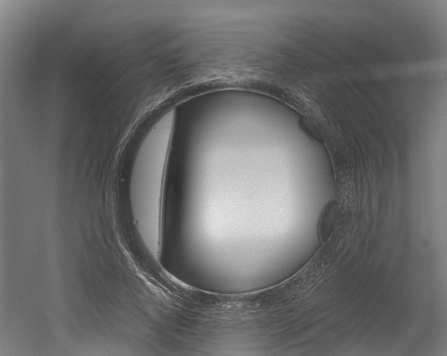 X0000052550736200507010844