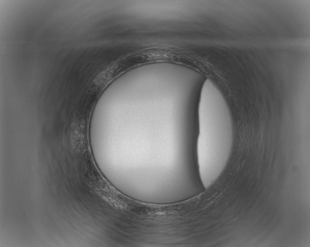 X0000052550737200507010844