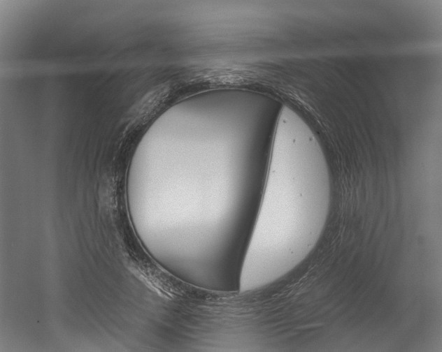X0000052550738200507010844