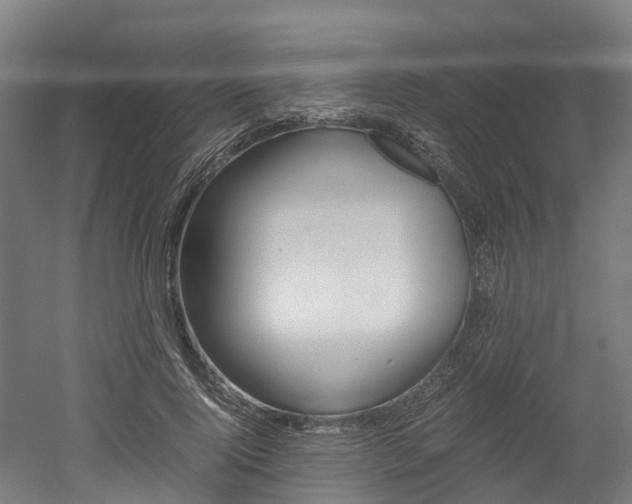 X0000052550740200507010844