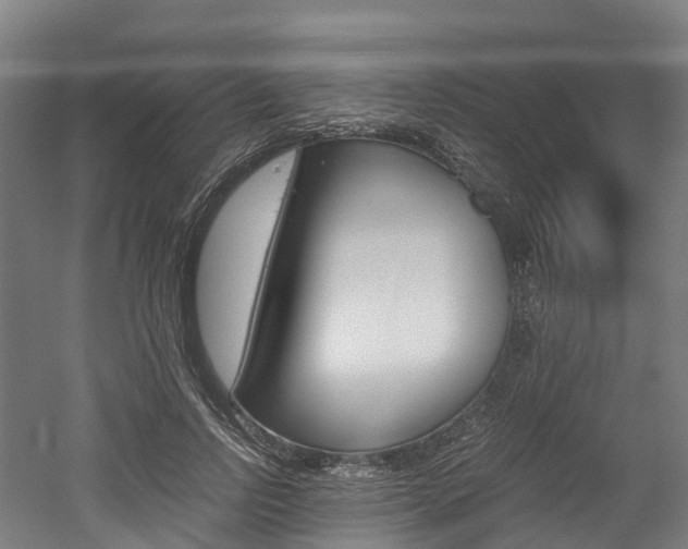 X0000052550742200507010844