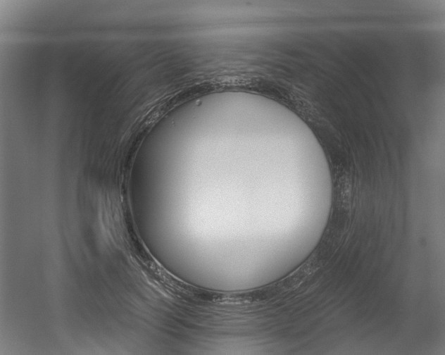 X0000052550746200507010844