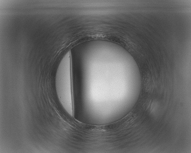 X0000052550747200507010844