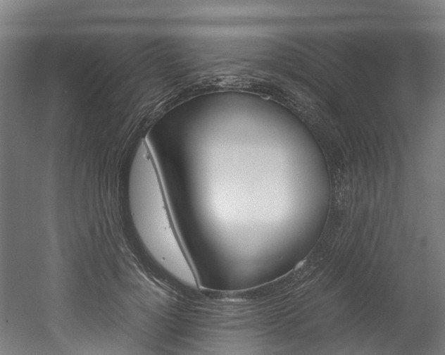 X0000052550748200507010844