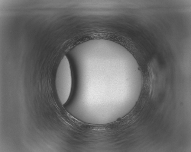 X0000052550749200507010844