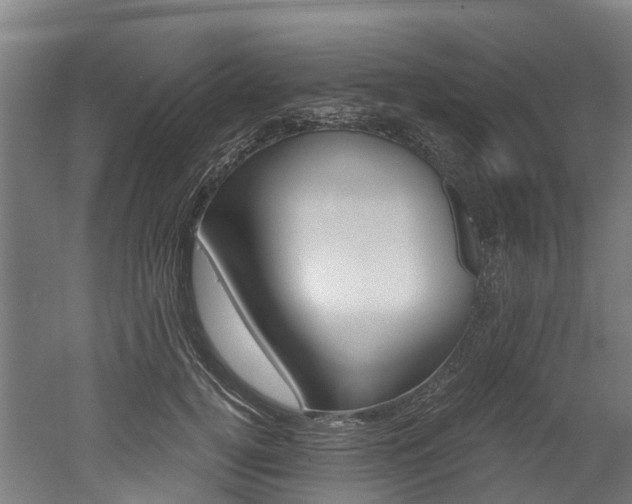 X0000052550752200507010845