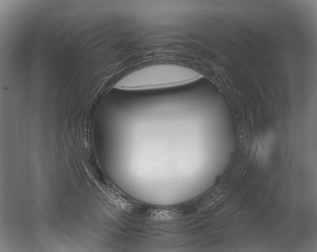 X0000052550755200507010845