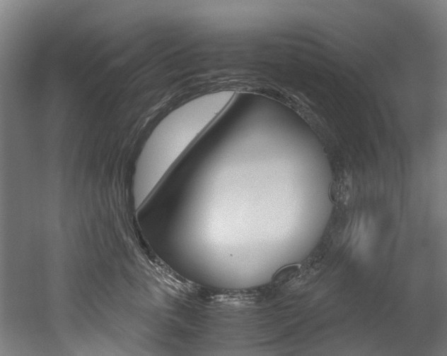 X0000052550763200507010845