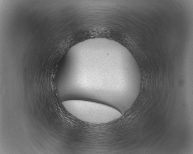 X0000052550770200507010844