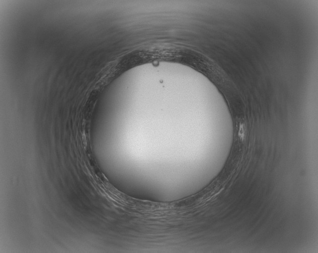 X0000052550771200507010844