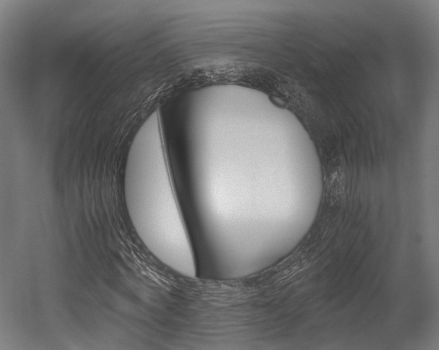 X0000052550772200507010844