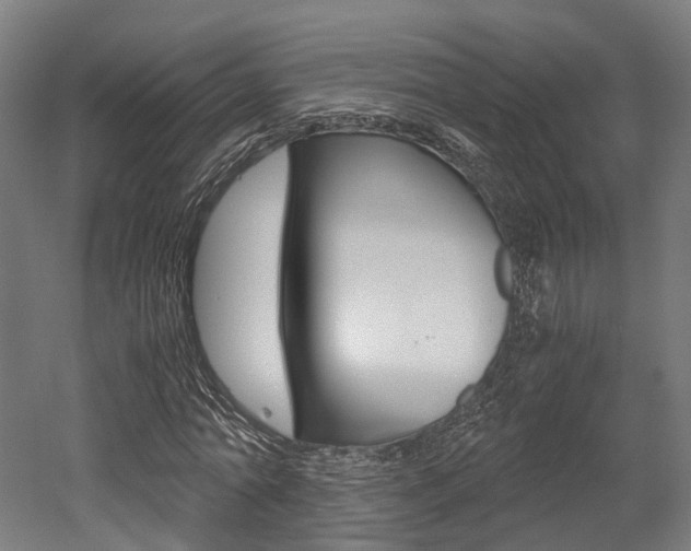 X0000052550774200507010844