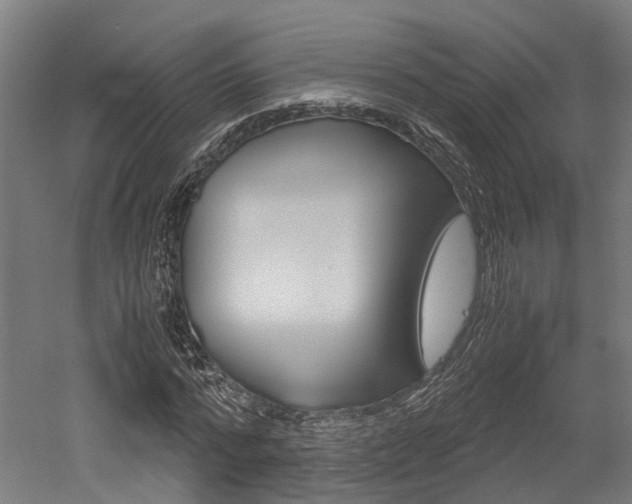 X0000052550776200507010844