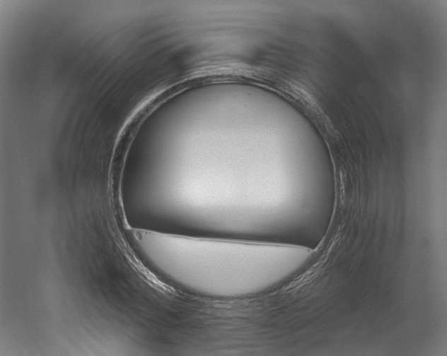 X0000052550780200507010844