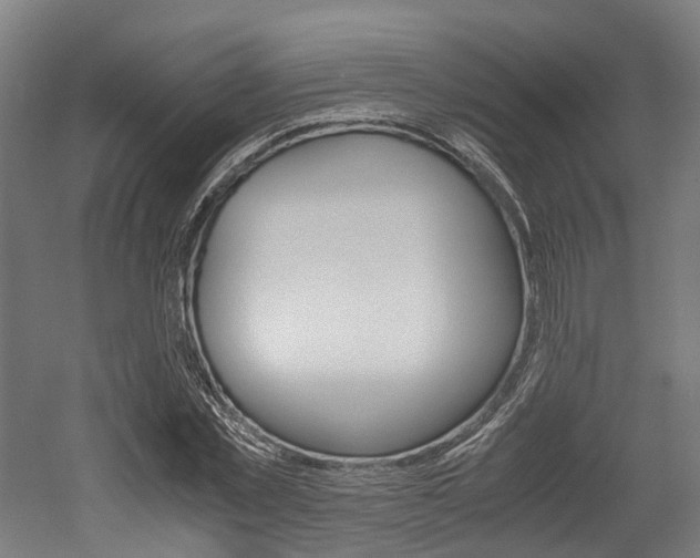 X0000052550781200507010844