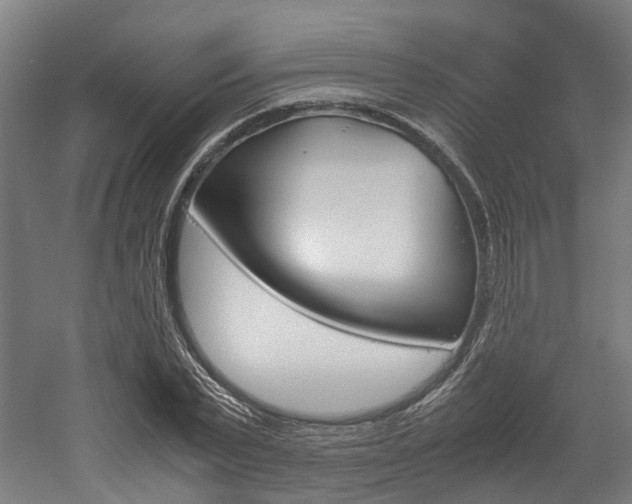 X0000052550783200507010844