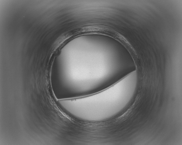 X0000052550786200507010844