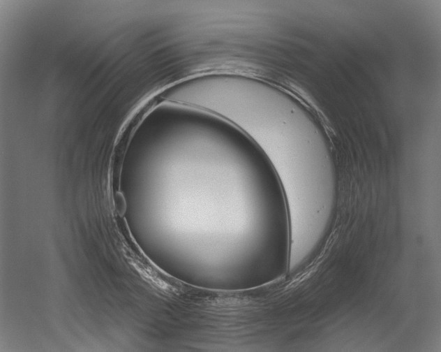 X0000052550788200507010844