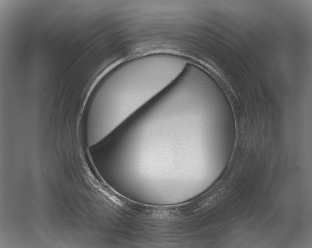 X0000052550790200507010844