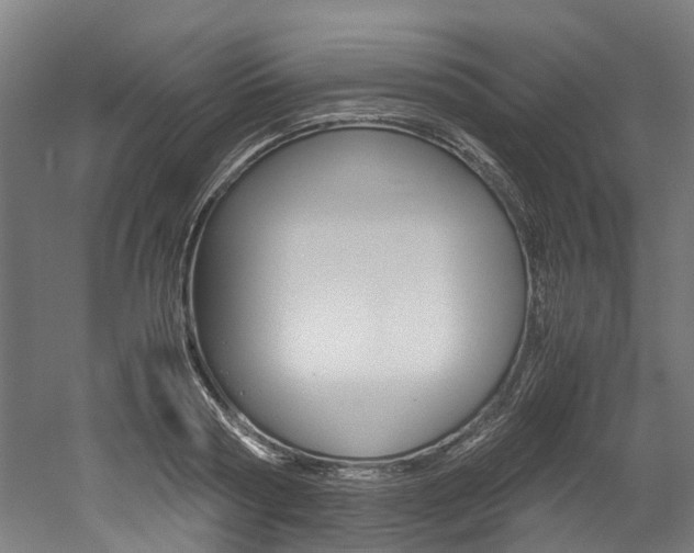 X0000052550794200507010844